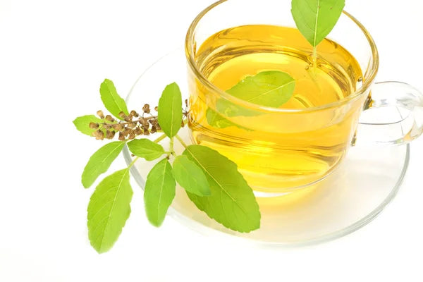 The Quali-tea of White Basil