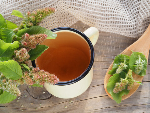 The Quali-tea of Red Root Amaranth