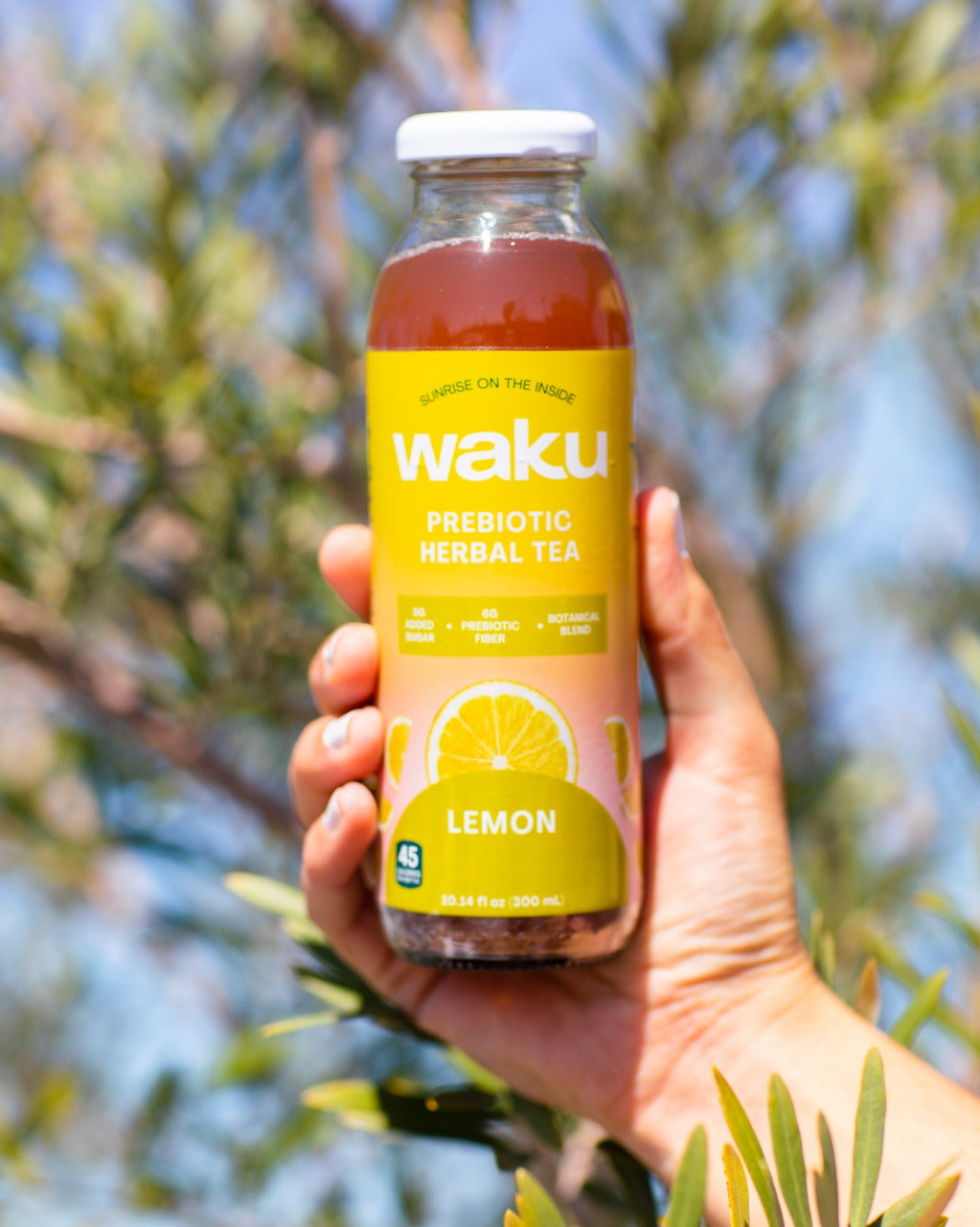 Waku Lemon Fizz Drinks