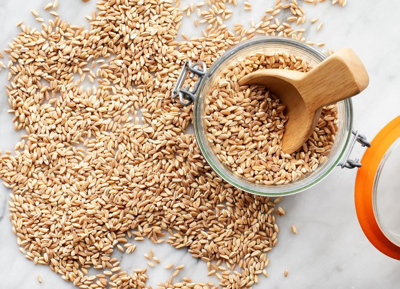 Gut health and Grains: What's the deal?