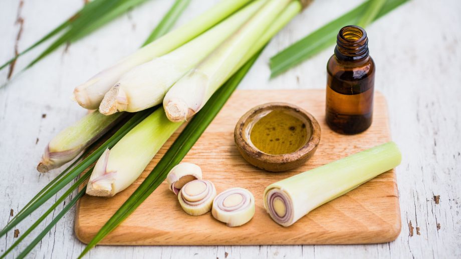 The Quali-tea of Lemongrass